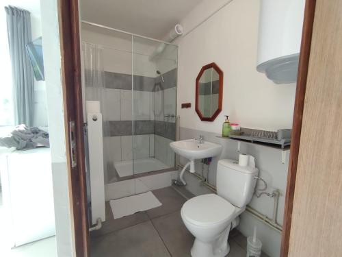 a bathroom with a toilet and a sink at Za ohradami in Závažná Poruba