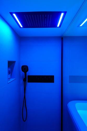 ストラスブールにあるLe Ptit Saint Florent - Studio Indépendant & Spaの青い光が入る天井の部屋