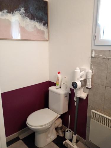 une salle de bain avec toilettes et un tableau au mur dans l'établissement Le cortal, à Las Illas