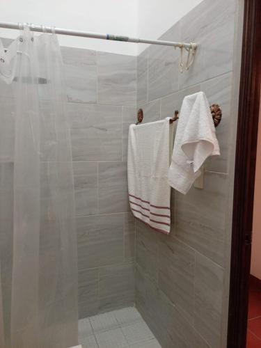 a bathroom with a shower with white towels at Casa de la Cúpula - Free Parking - Sleeps Eight in San Miguel Dueñas