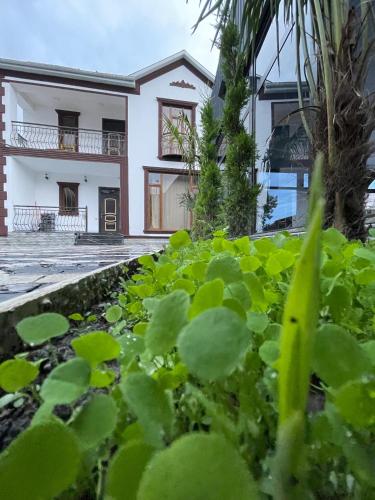 Κήπος έξω από το Gabala Milan Villa with indoor heated pool and jacuzzi