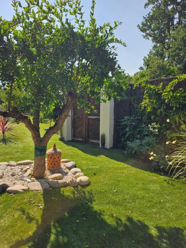 un arbre au milieu d'une cour dans l'établissement Le cabanon de casaOma, à Prunelli-di-Fiumorbo