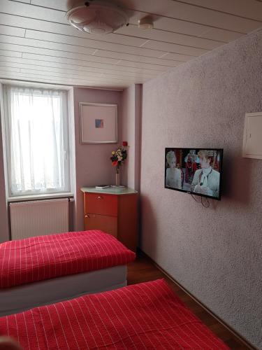 TV a/nebo společenská místnost v ubytování Hessisches Haus