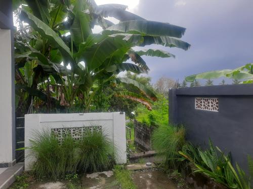 a garden with a white gate and a palm tree at Ayunda Stay & Hostel in Airsatang