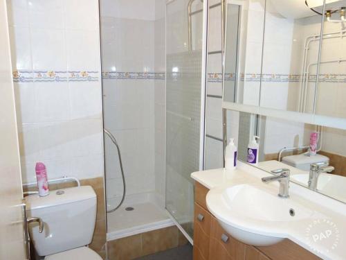 une salle de bain avec une douche, des toilettes et un lavabo dans l'établissement Studio Cabine Climatisé tout près de la plage, au Grau-du-Roi