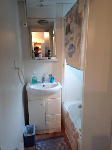 une salle de bain avec un lavabo, une douche et un miroir dans l'établissement Mobil-home, à Capbreton