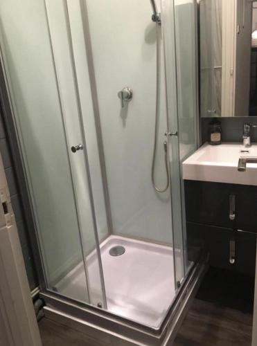 une douche avec une porte vitrée à côté d'un lavabo dans l'établissement Studio proche Lac, centre ville, mer et CNPE, à Cany-Barville