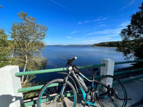 a bike parked on a railing next to a lake at Wittinghof in Julbach