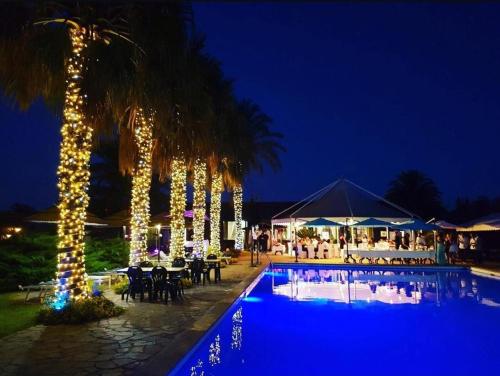 a swimming pool with christmas lights next to a palm tree at Golf residence in Ardea