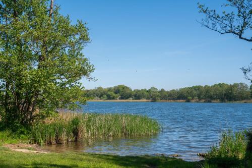 a view of a lake with grass and trees at K 357 - Low budget Hotel in Ratekau bei Lübeck in Ratekau