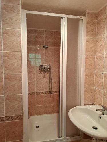 a bathroom with a shower and a sink at Basanavičiaus kampelis in Palanga
