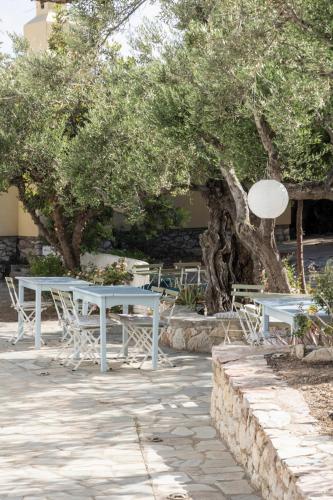 a blue picnic table and chairs under a tree at SPITIA VASILI in Kapsálion