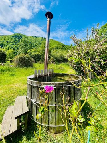 a flower in a barrel with a pipe at Le portillon des fées in Sost