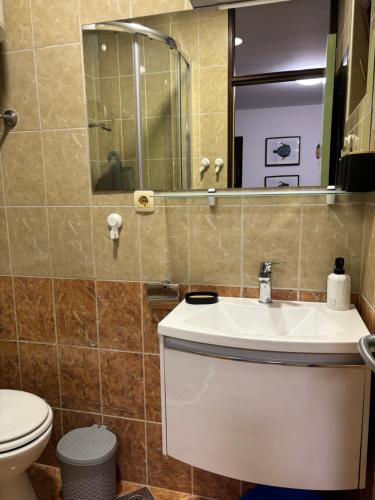 Koupelna v ubytování APARTMAN ROSA