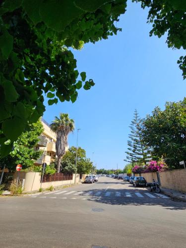 a street with a palm tree and cars parked on the street at Mami House Lecce in Lecce