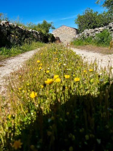 a field of yellow flowers on a dirt road at Casa da Curva in Mendiga