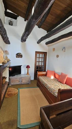 un salon avec un canapé et une cheminée dans l'établissement U Paisolu, maison de village en Corse, entre mer et montagne, à Nessa