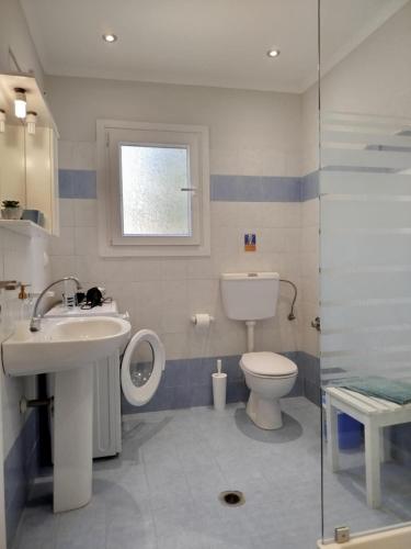 a bathroom with a sink and a toilet and a shower at Villa Jasmine in Kalami