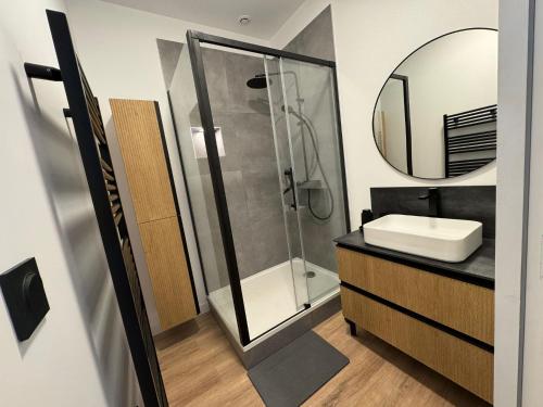 une salle de bain avec une douche, un lavabo et un miroir dans l'établissement Nuit des Sacres, à Reims