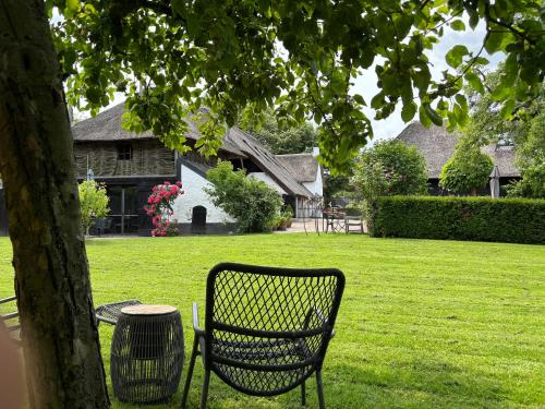 a bench sitting under a tree in a yard at De Heeren van Tuil in Tuil