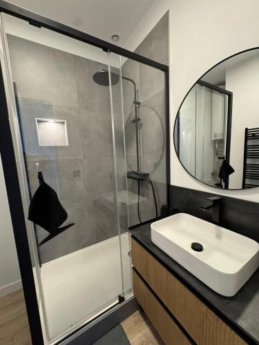 une salle de bain avec un lavabo et une douche dans l'établissement Rêves et bulles, à Reims