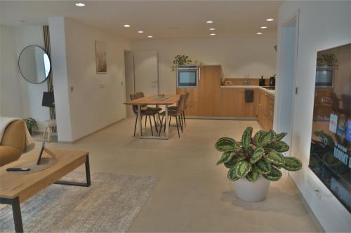 a living room and kitchen with a table and a potted plant at DonauDeluxe in Geisingen