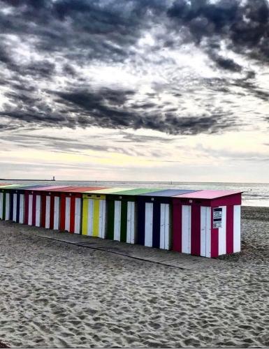 Photo de la galerie de l'établissement Du sable dans les chaussures, à Dunkerque