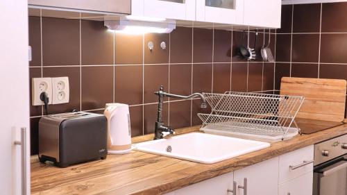 a kitchen with a sink and a toaster on a counter at At the Blue Lion & Parking Assistance in Prague