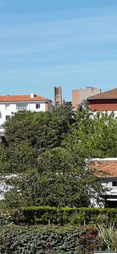 Appart Albi Résidence Azur