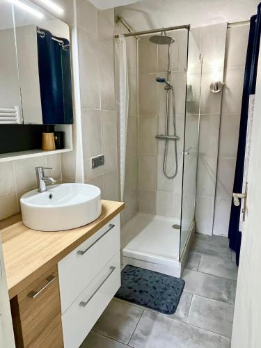 une salle de bain avec un lavabo et une douche dans l'établissement App 4 pers avec terrasse, à Villeneuve-Loubet