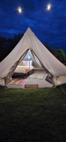 a tent with a bed in a field at night at Stonehenge Shepherds Huts in Durrington