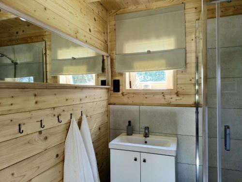 a bathroom with a sink and a mirror at Sosny i Róże in Domysłów