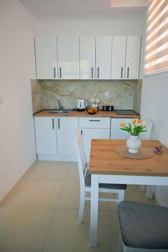 Kuchyň nebo kuchyňský kout v ubytování Apartmani kod kumašina