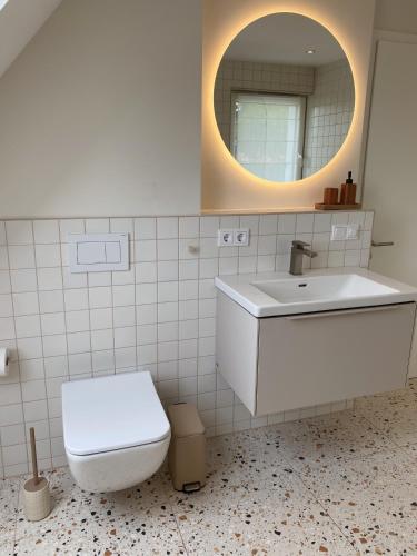 a bathroom with a toilet and a sink and a mirror at NEU Ferienwohnung am Kloster, ländliche Idylle mit der ganzen Familie in Leinefelde