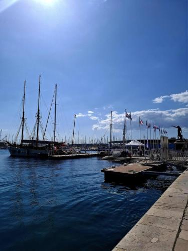 un groupe de bateaux amarrés à un quai dans l'eau dans l'établissement Arsenal, 2 rooms - Port-Opéra-Gare, à Toulon