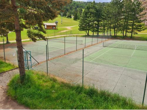 a couple of tennis courts with trees in the background at L' Éclat des Sommets en face et aux pieds des pistes in Superdevoluy