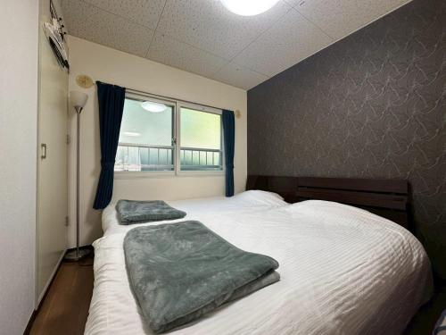 a bedroom with two beds and a window at カサデューク平岸45 in Toyohira