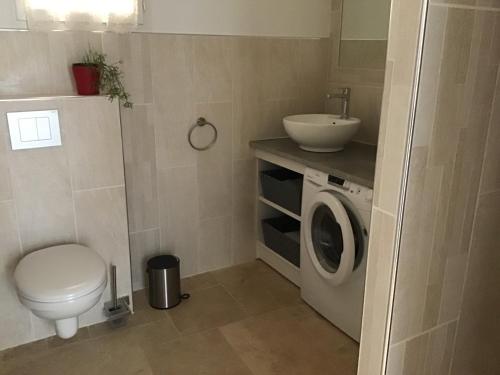 La salle de bains est pourvue de toilettes, d'un lavabo et d'un lave-linge. dans l'établissement Les quatre saisons, à Bergerac