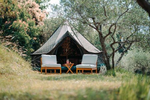 Private Olive Glamping with Tiny House and Two Tents