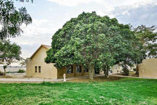 a large tree in front of a house at Neot Semadar Eco Lodge in Naẖal Ya‘alon