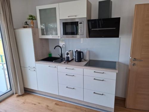Kuchyň nebo kuchyňský kout v ubytování 3 JABLANE apartmaji