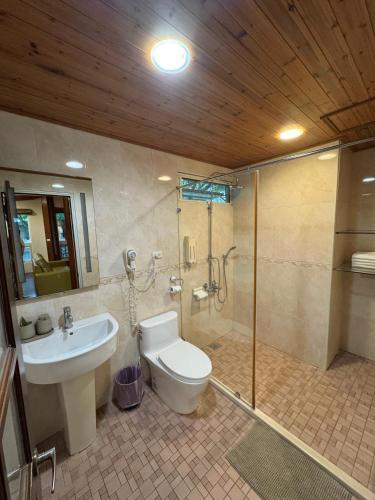 a bathroom with a toilet and a shower and a sink at Fangshuh B&B in Fenglin