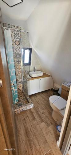 a bathroom with a shower and a toilet and a sink at Wild A-frame in Baile Felix