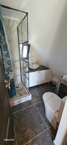 a bathroom with a sink and a mirror and a toilet at Wild A-frame in Baile Felix
