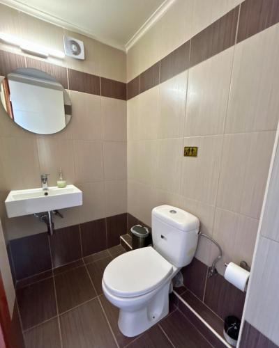 a bathroom with a toilet and a sink at Kalliopi's Maisonettes in Palouki