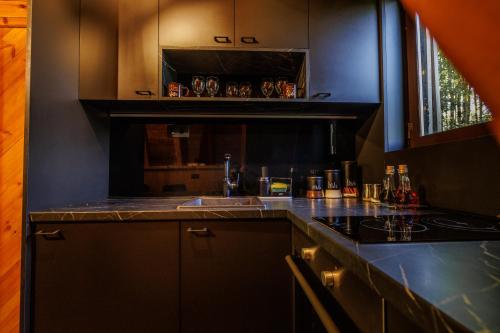 a kitchen with a sink and a counter top at Woodland Brezna in Pluzine