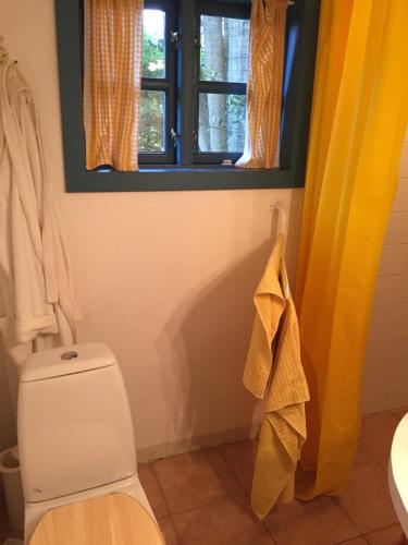 a bathroom with a toilet and a window at Bauernhaus mit großem Garten in Jordløse