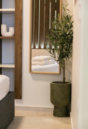 a potted plant in a room with a mirror at Casa Margarita Parga in Parga