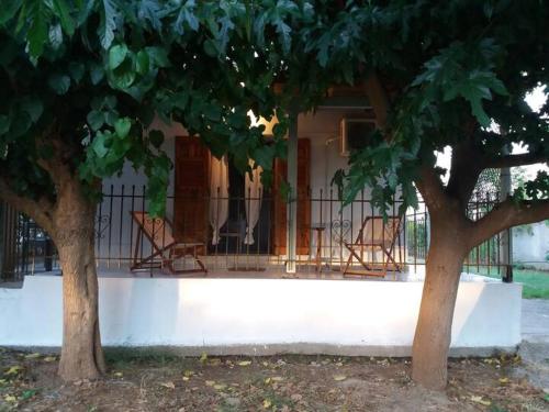 The happy scarecrows