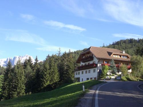 a house on a hill next to a road at Hotel Wieslhof in Collepietra